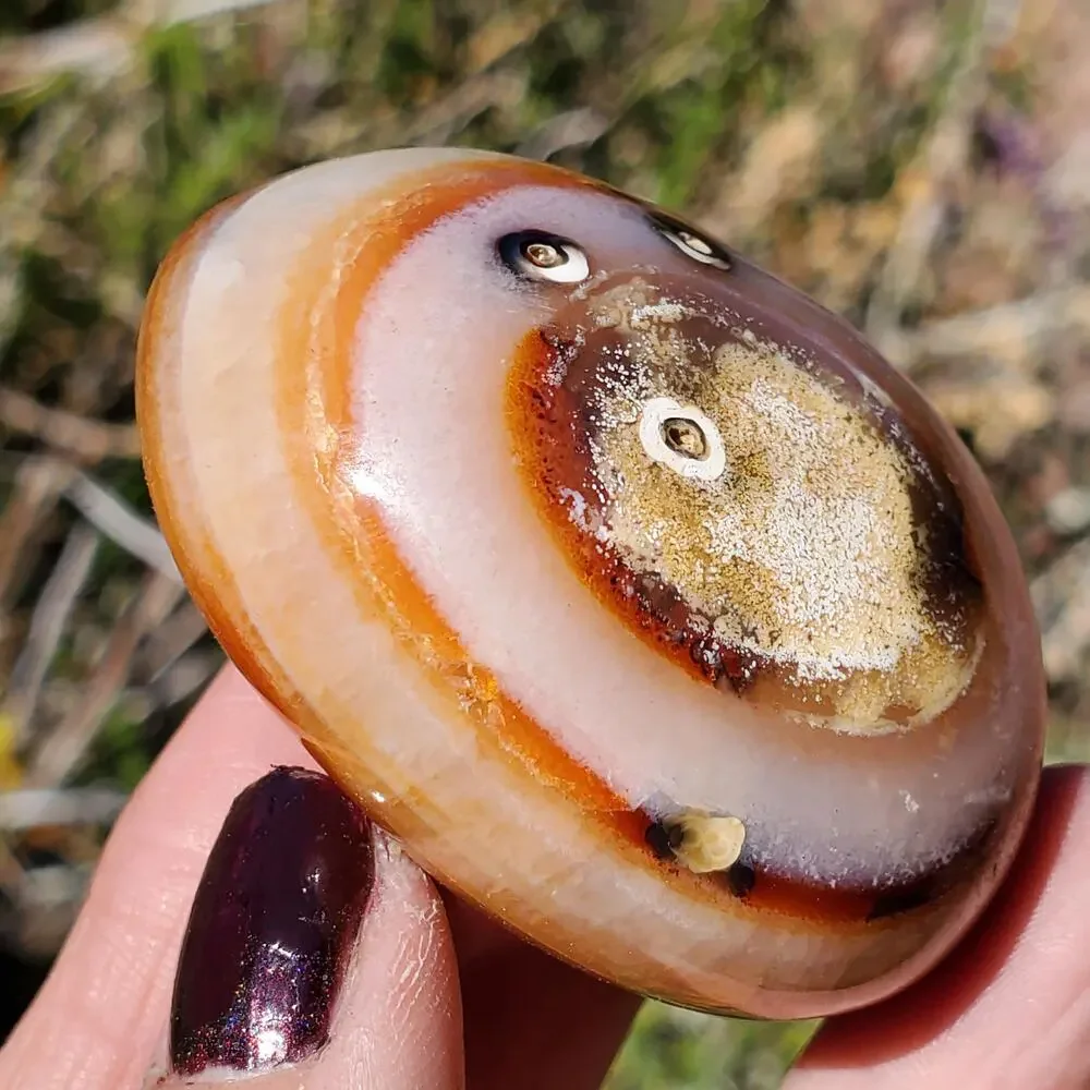 Eyes on Back Orca Agate Carnelian Stone Crystal UNIQUE Palmstone 180 grams